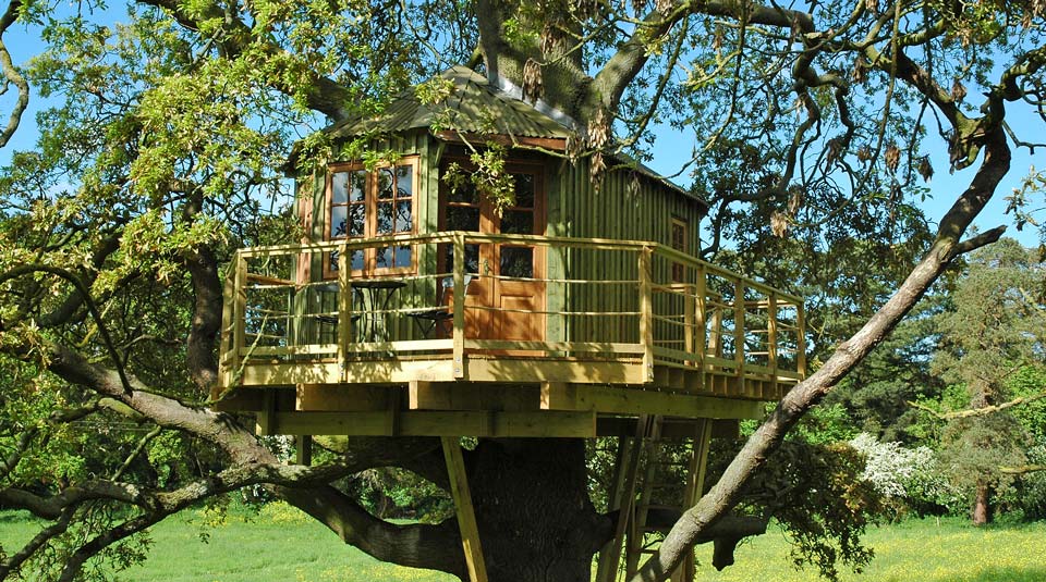 Finished custom treehouse design & build in mature Irish Oak